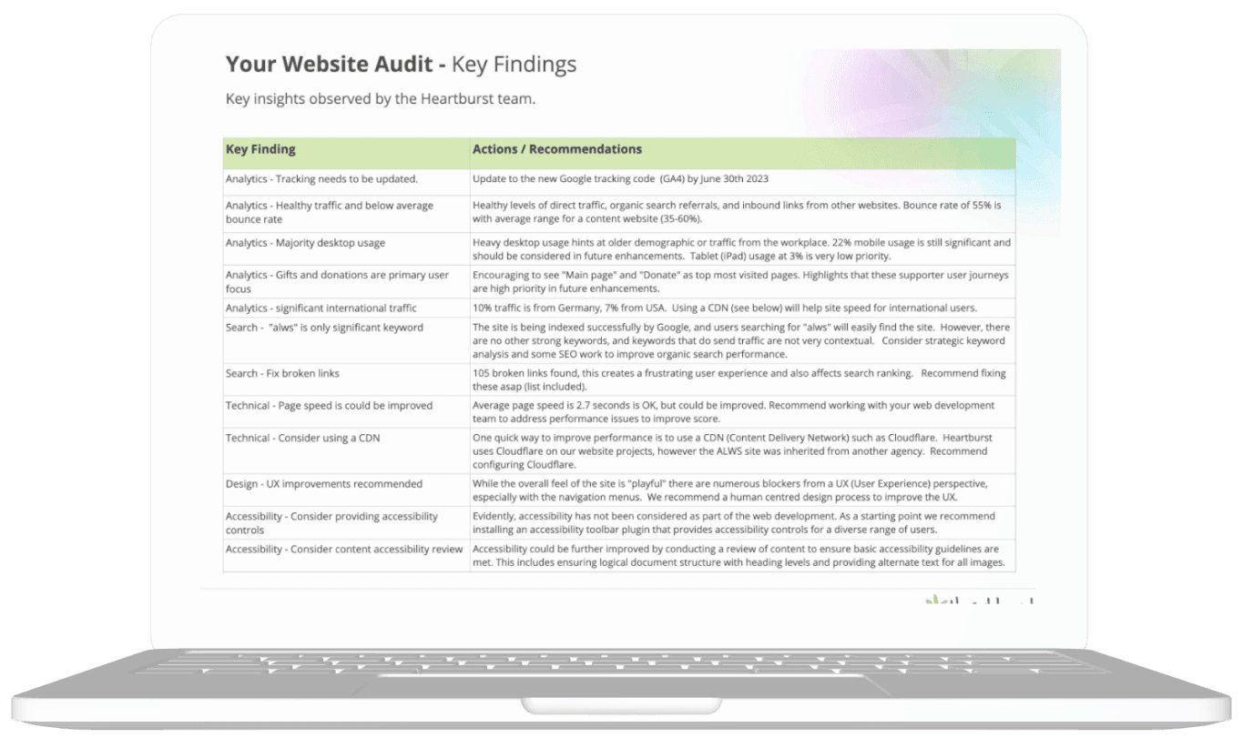 Website audit for NFP details example